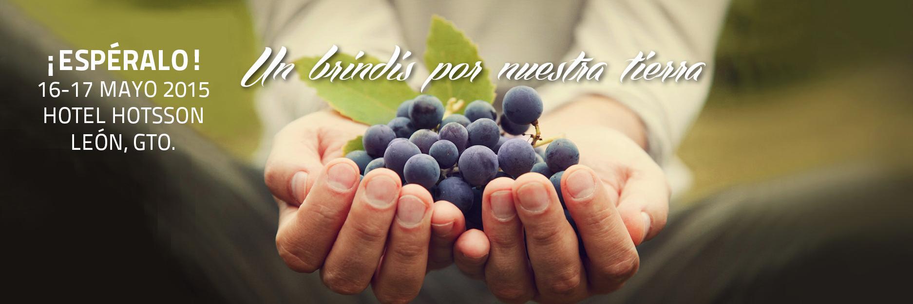 TINTO_BAJIO's profile banner image