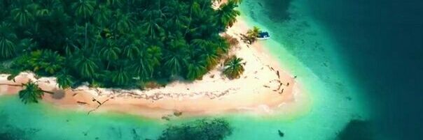 Komunitas Alephium Indonesia 🇮🇩 banner