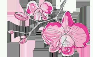 GingerlilySpa's profile banner image