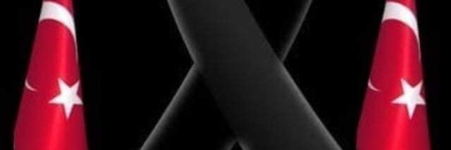 vek3419's profile banner image