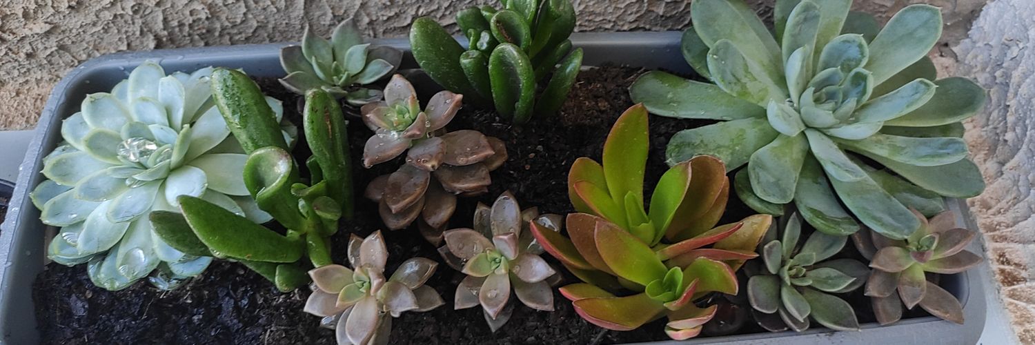 Sou só uma pobre e abandonada camponesa. banner