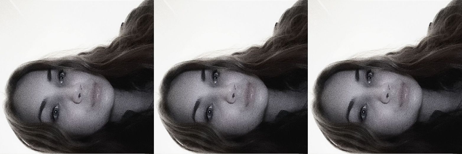 erinprivits's profile banner image