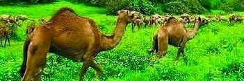 hambabi28's profile banner image