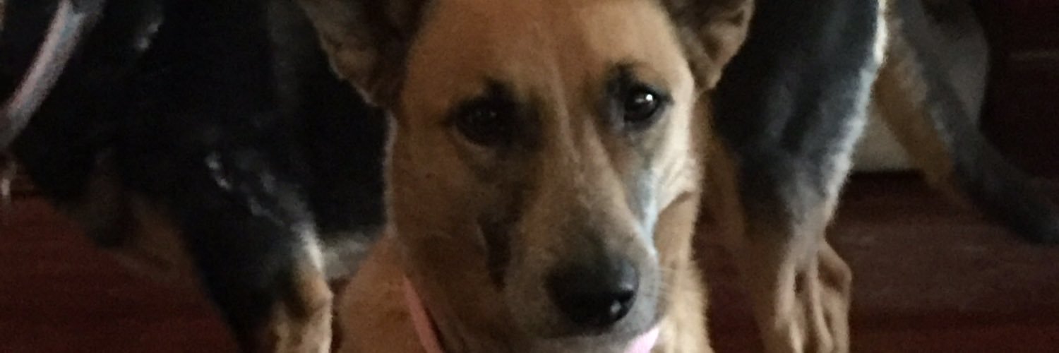 rclower's profile banner image