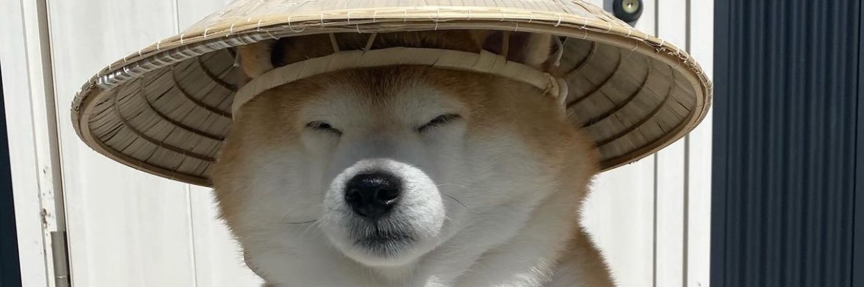 djteoss's profile banner image
