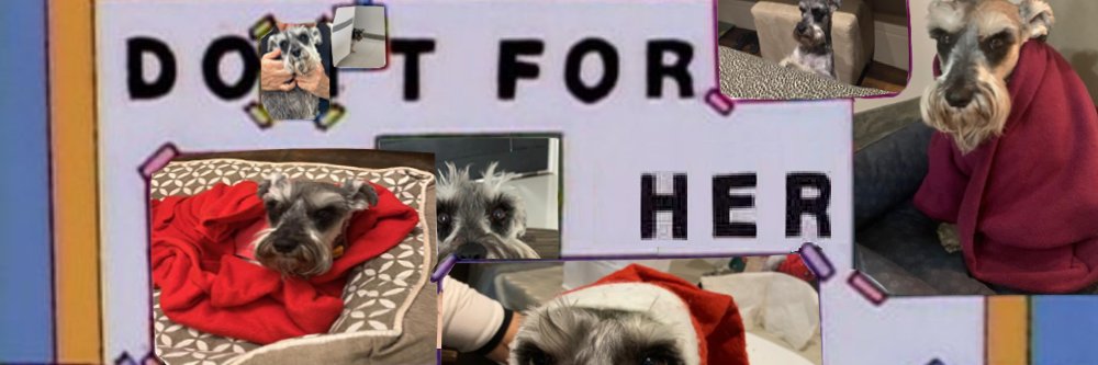 kkyocc's profile banner image