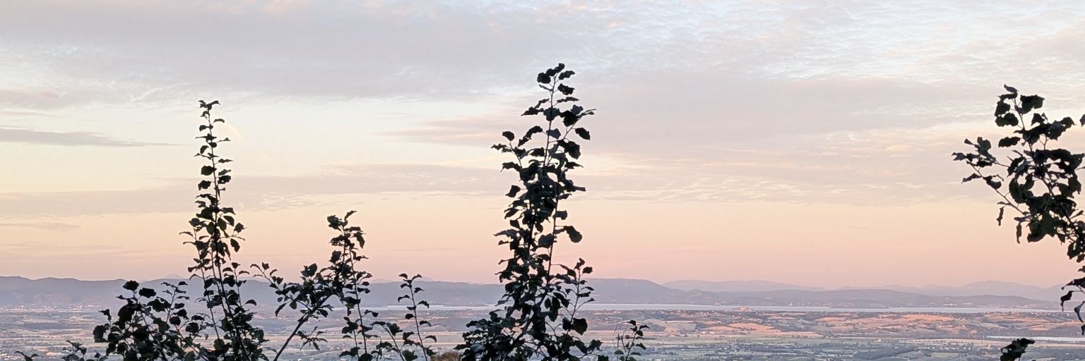 Réminan 🇵🇸 banner