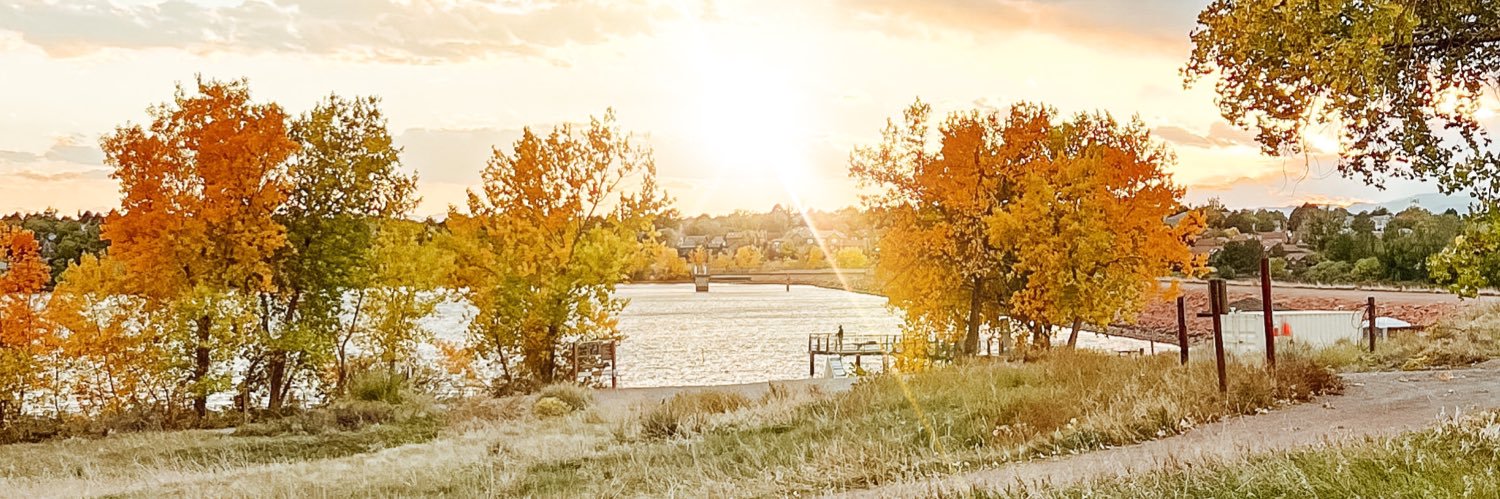 allisonhiltz's profile banner image