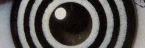 faneca80's profile banner image