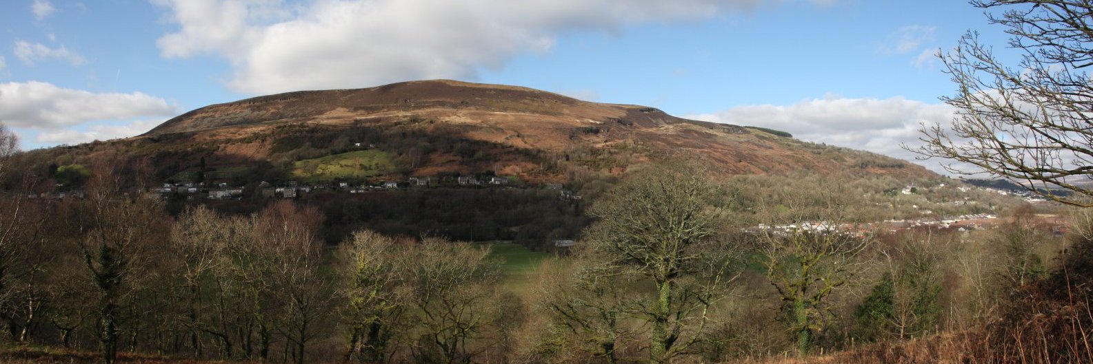 Godre’rgraig Primary banner
