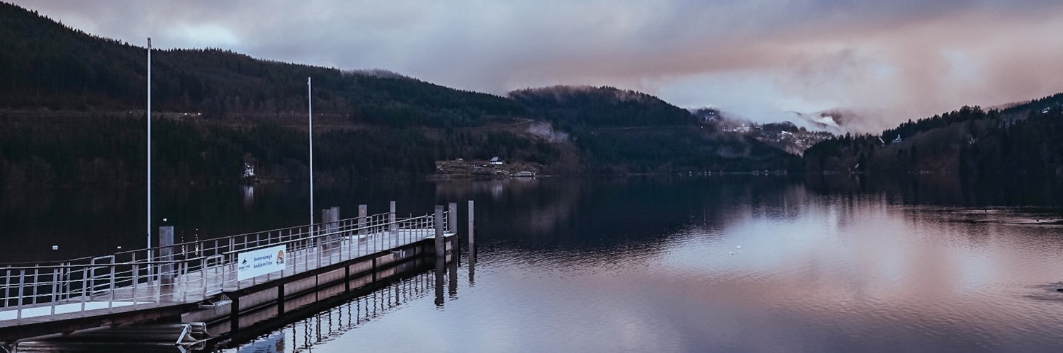 dodothebirds's profile banner image