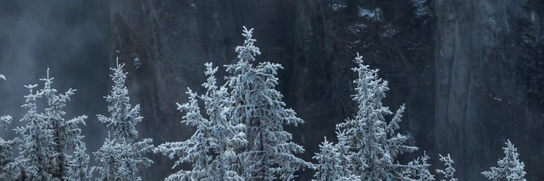 Viniii_SSS's profile banner image