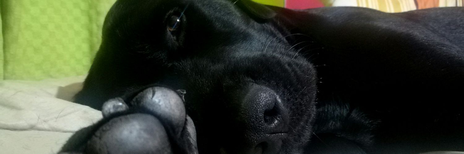 micaelaaaa09's profile banner image