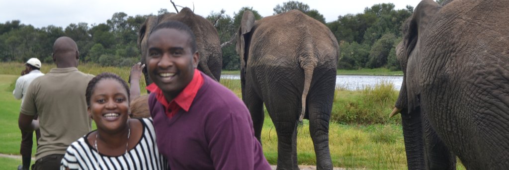 Learnmore Nyoni banner