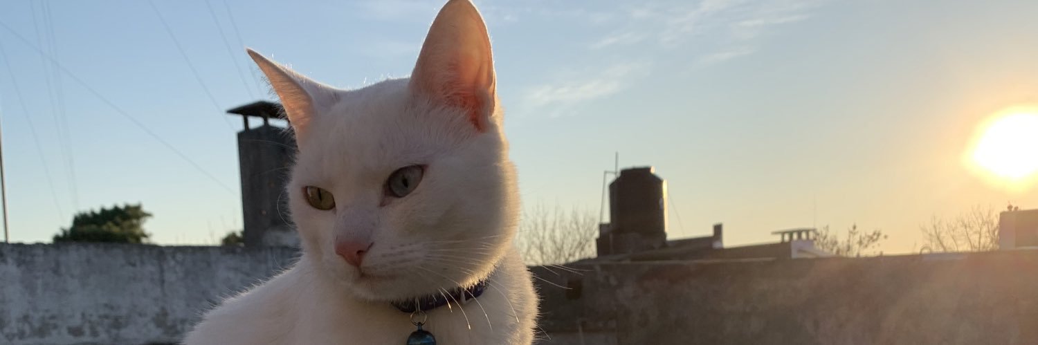 marcuzzantos's profile banner image