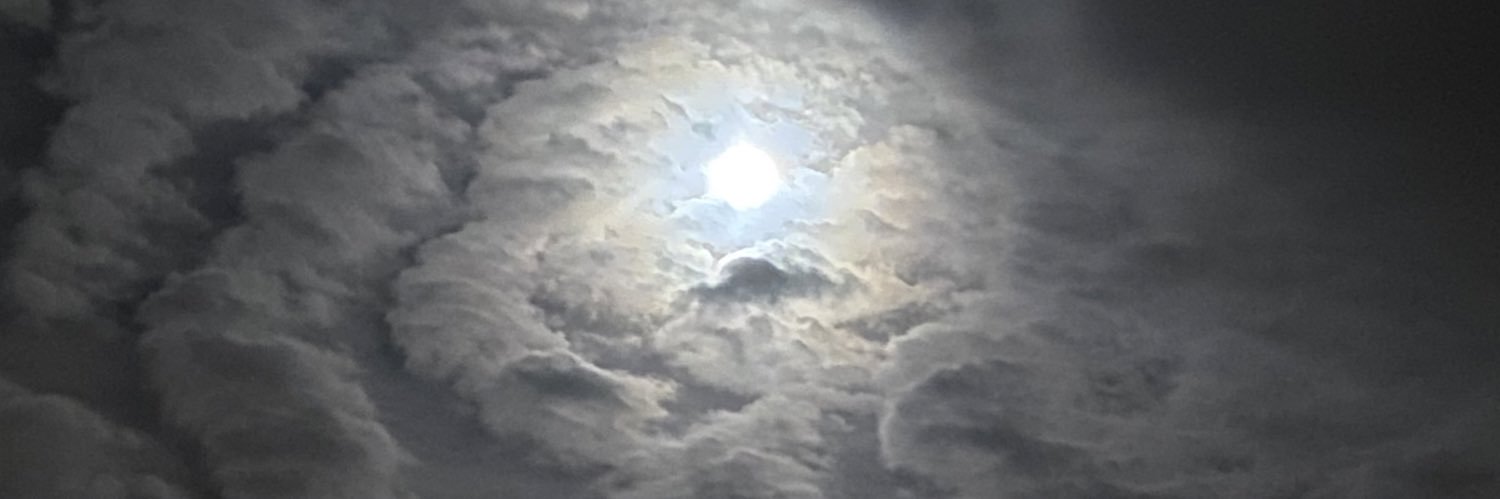 LuaDoBeijaFlor's profile banner image
