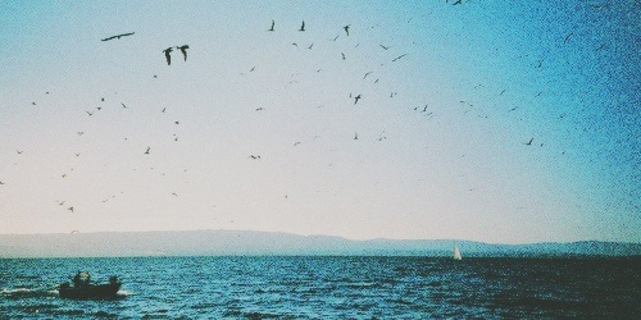 indahoodfl's profile banner image