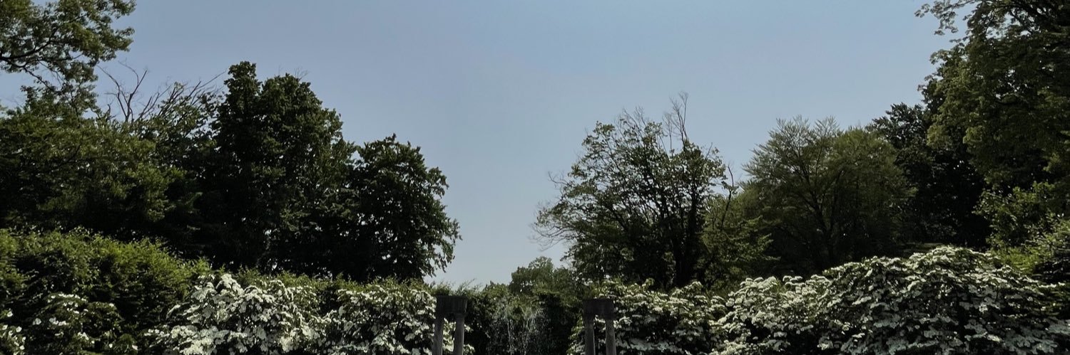 rebeccxrose's profile banner image