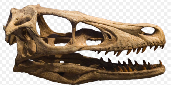 ChristmanSCI's profile banner image