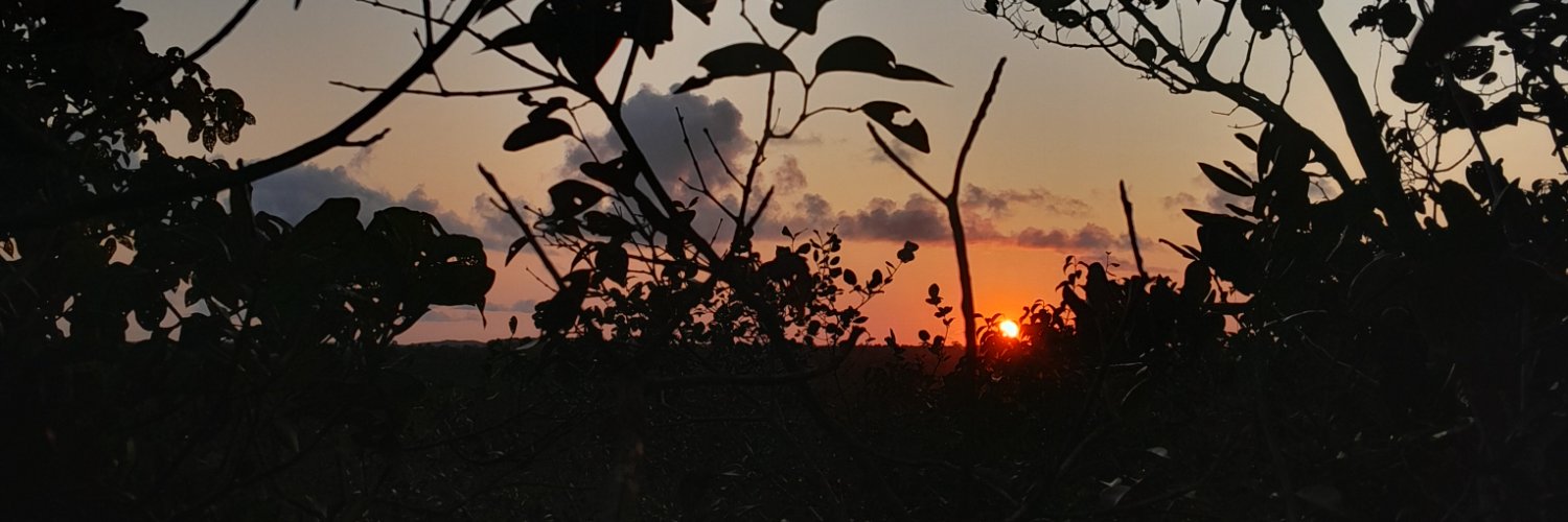 Ficthicio_'s profile banner image