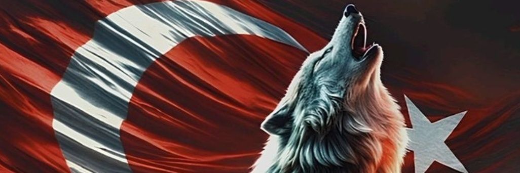 nickname_de_ne's profile banner image