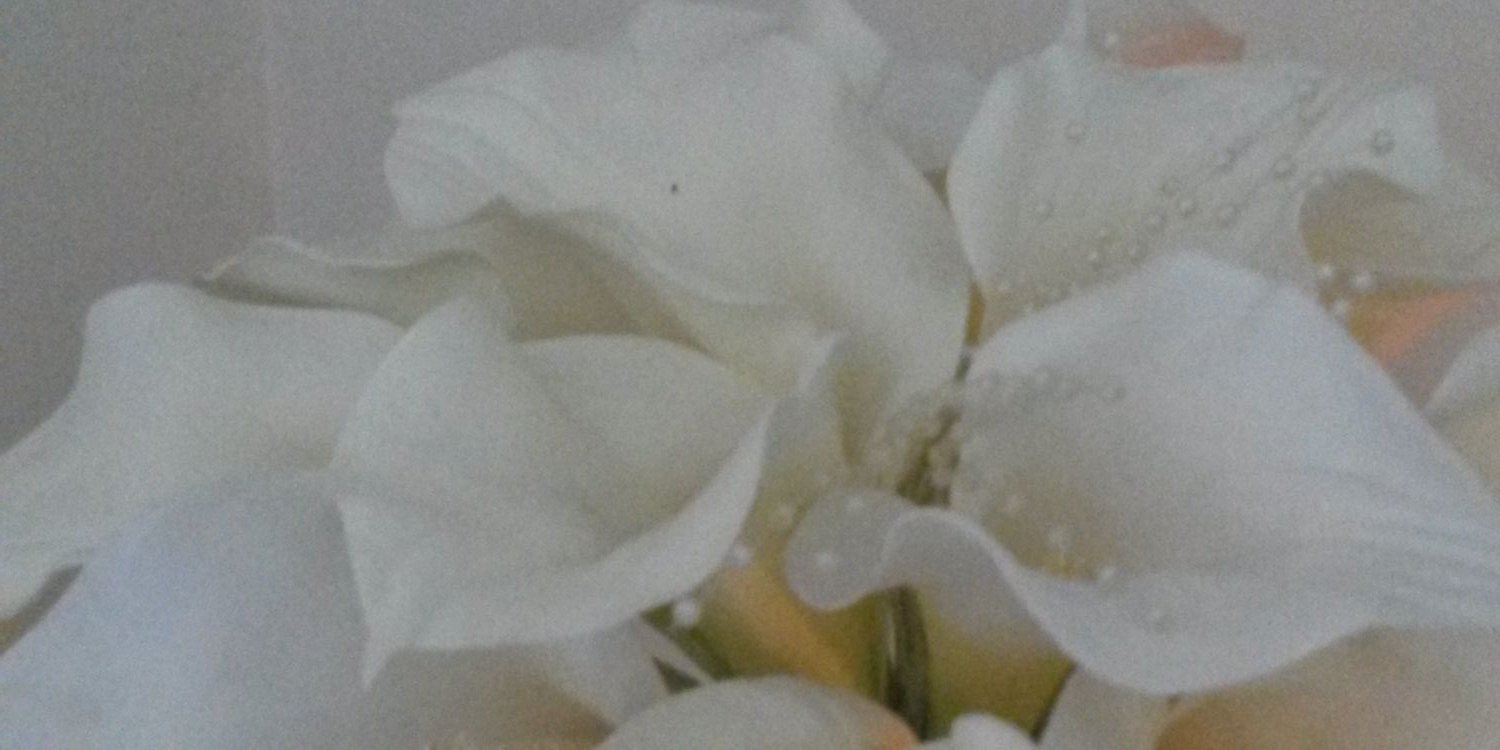 perfmemories's profile banner image