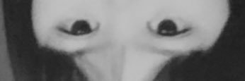 Fernanda Raka banner