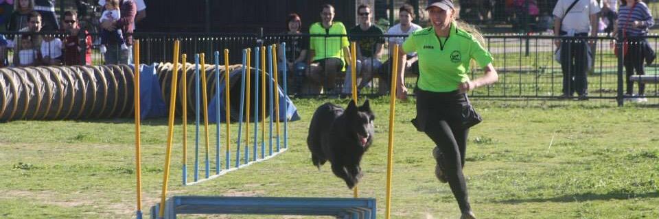 NoraAgility's profile banner image