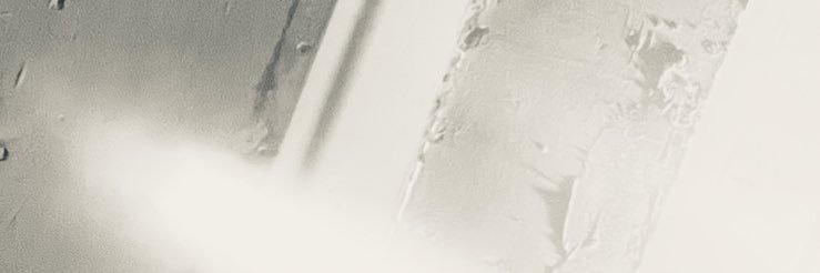 ワタナベキヨミ/antz banner