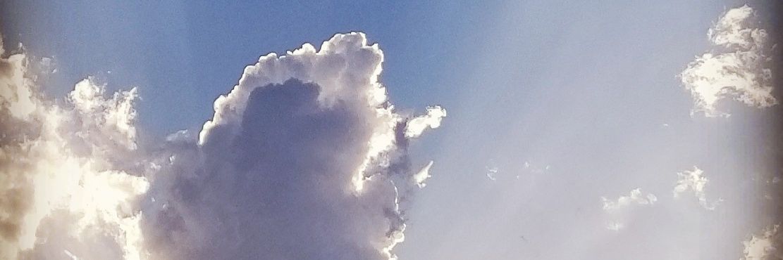 kpynes's profile banner image