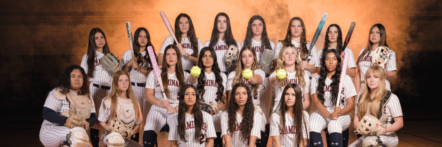 Chaminade Softball banner