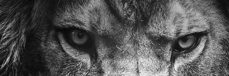 mattxtrip's profile banner image