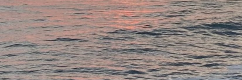 joaoxicoo's profile banner image