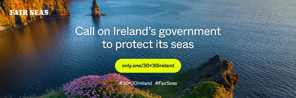 IWDGnews Profile Banner