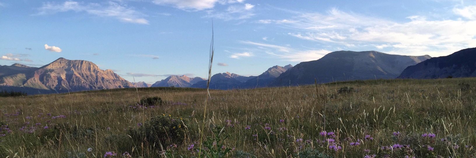 Merlin Mulder banner