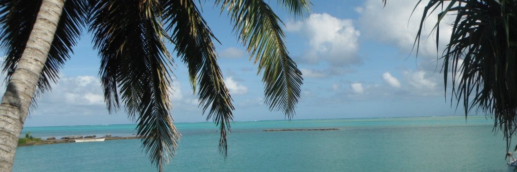 Michelle Rippy banner
