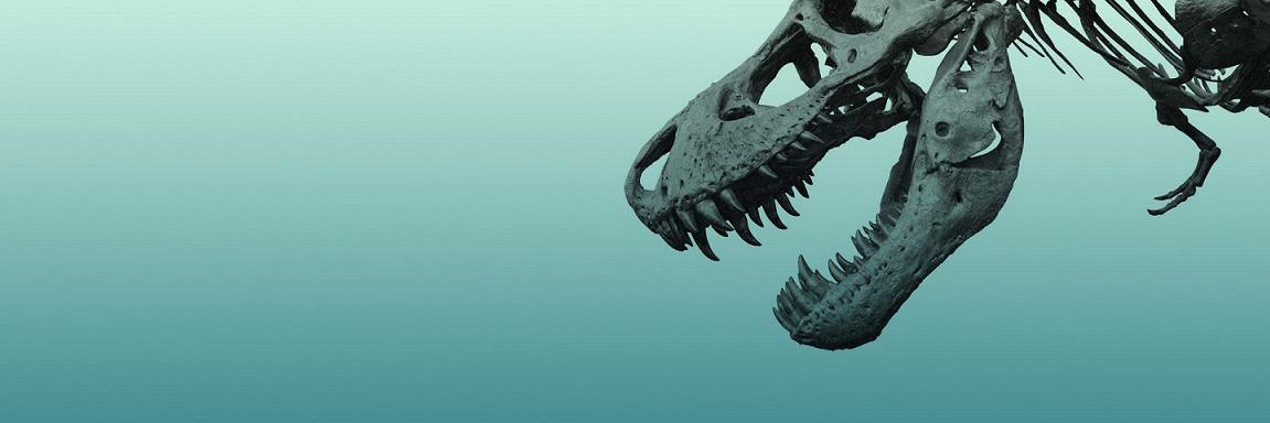TreyGarbers's profile banner image