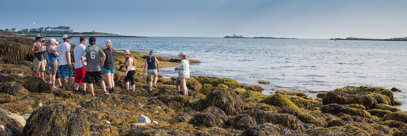Shoals Marine Lab banner