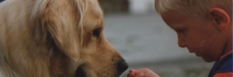 nonoooooh's profile banner image