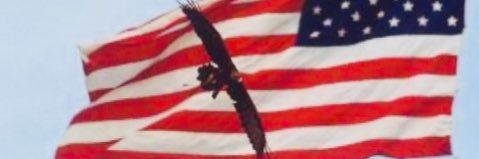 Tigerx banner
