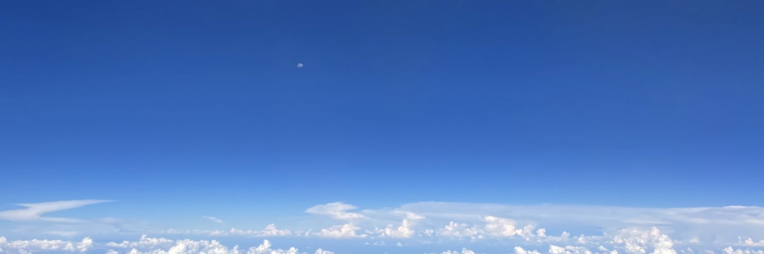 Elodie Martinez banner