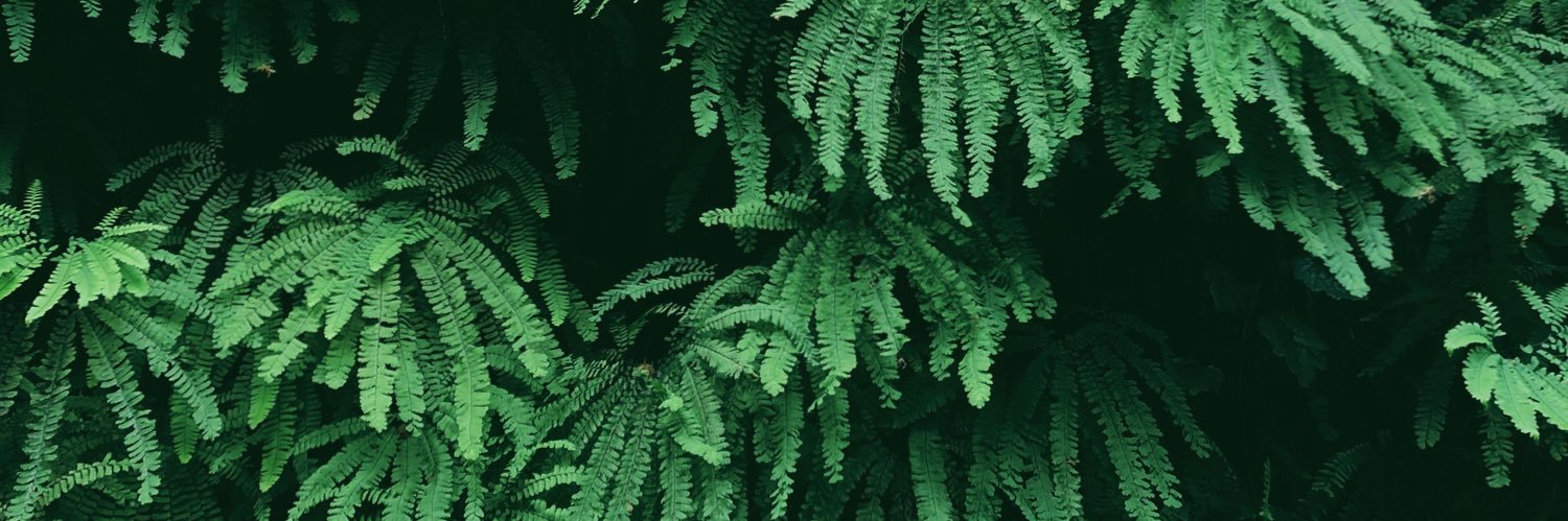 jxtnguyen's profile banner image