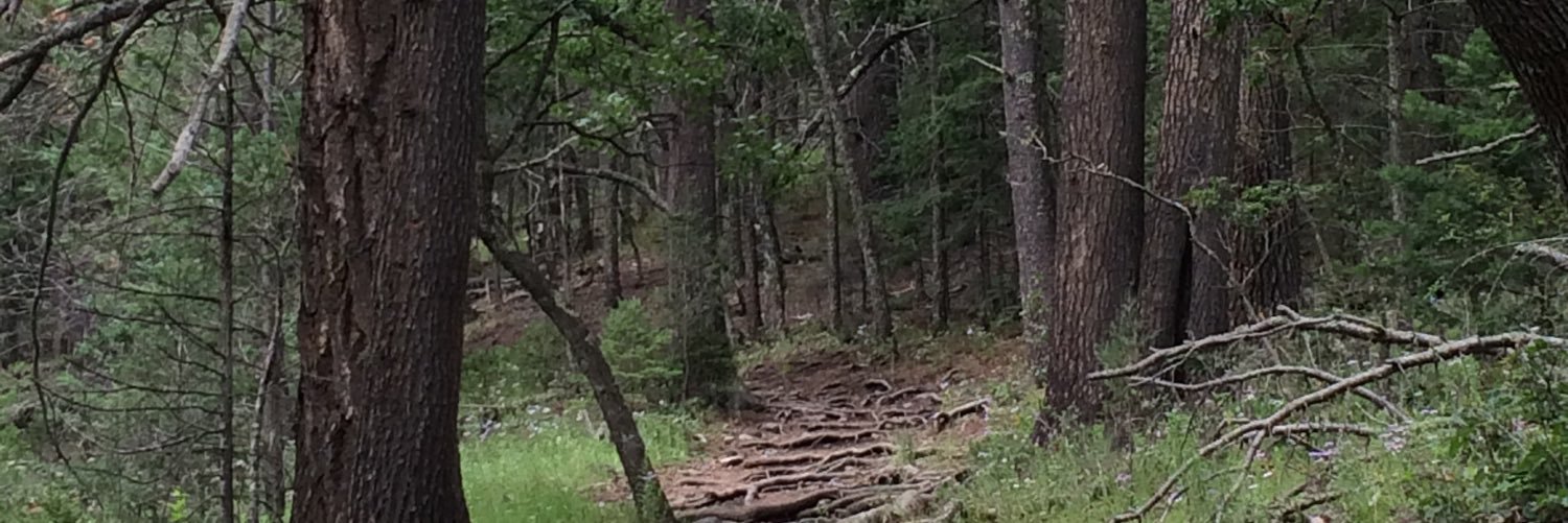 tmrice's profile banner image
