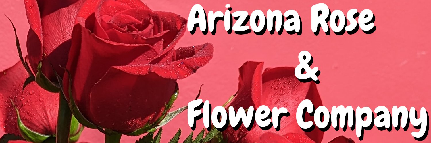 AZRoseCo's profile banner image