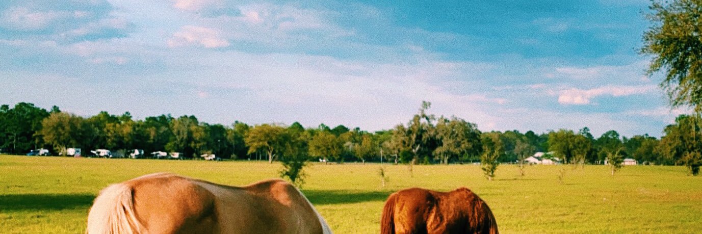 vivsmf98's profile banner image