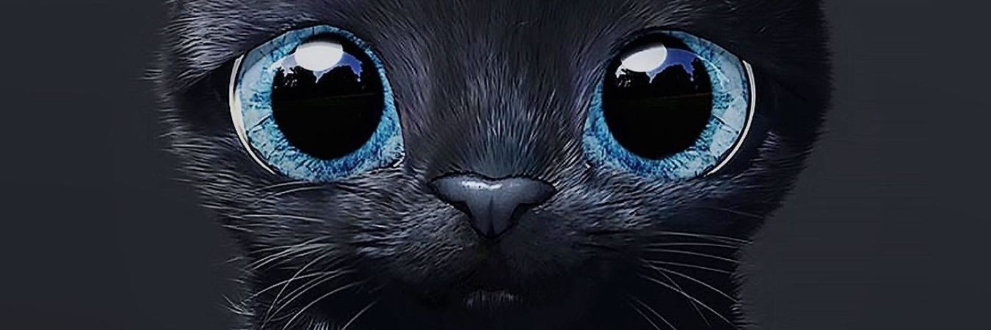 gyogs_'s profile banner image