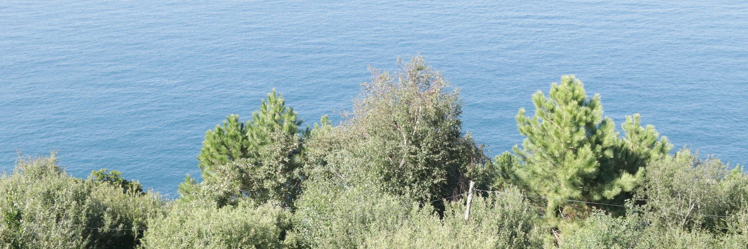 Coaner Peramiquel Castellà banner