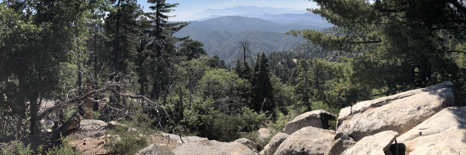 KAREN BASS IS A DISASTER banner