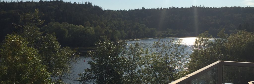 HanlonJane's profile banner image