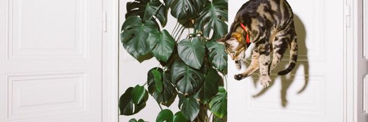 Artwort banner